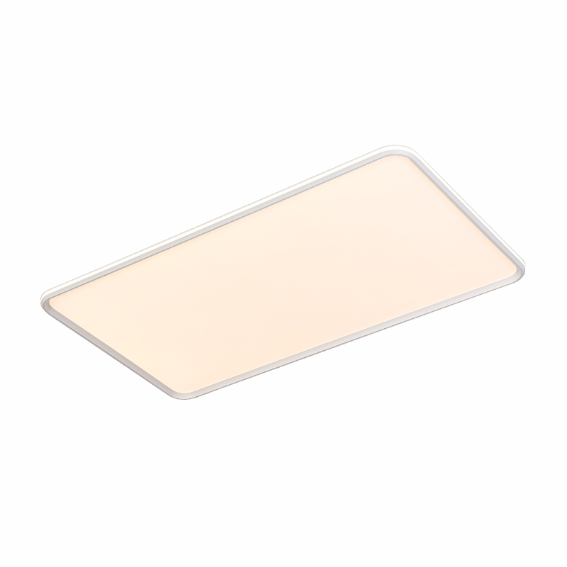 OTL/客廳燈/臥室燈/愛目簡雅/系列