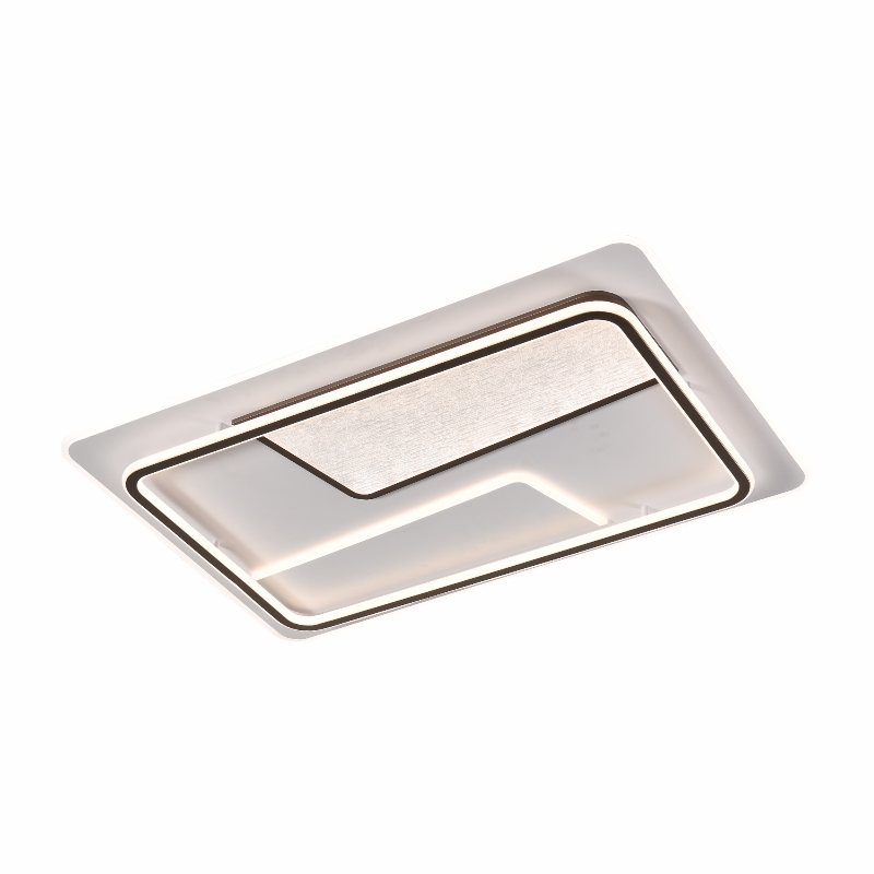 OTL/客廳燈/臥室燈/愛目憧憬/系列