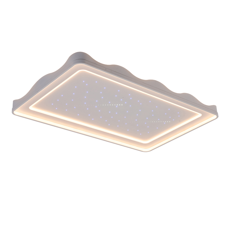 OTL/客廳燈/臥室燈/愛目流星雨系列